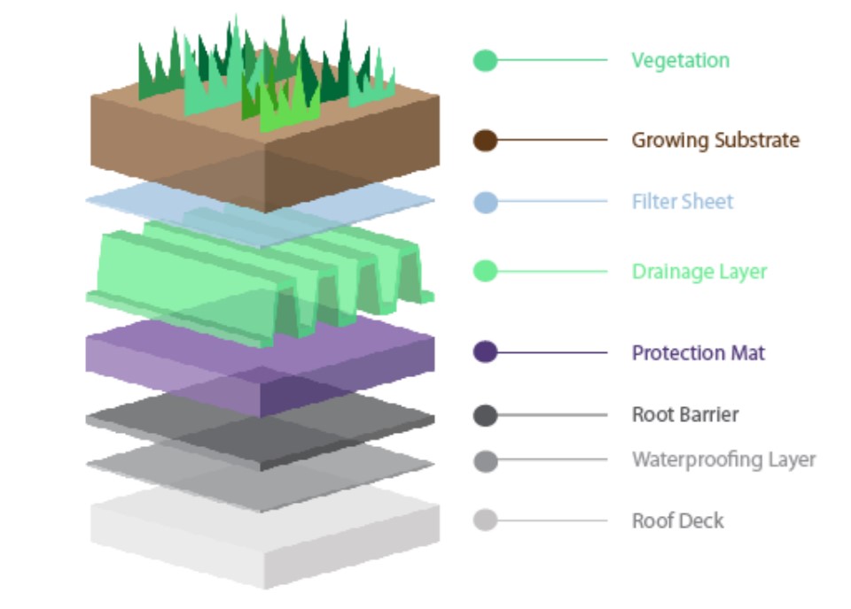 Information on Green Roofs - Blue Engineering